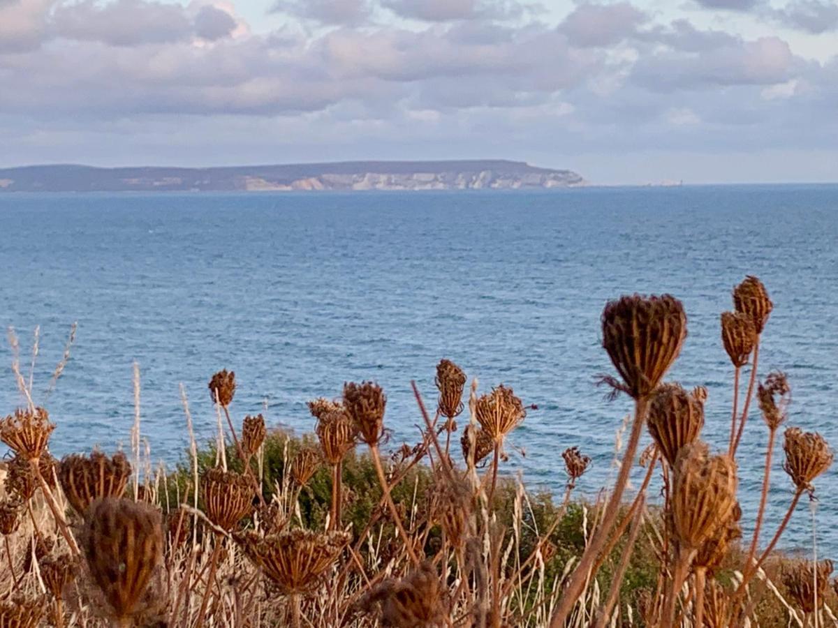 Shorefield Country Park, Where The New Forest Meets The Sea, Passes For All Entertainment Included ميلفورد أون سي المظهر الخارجي الصورة