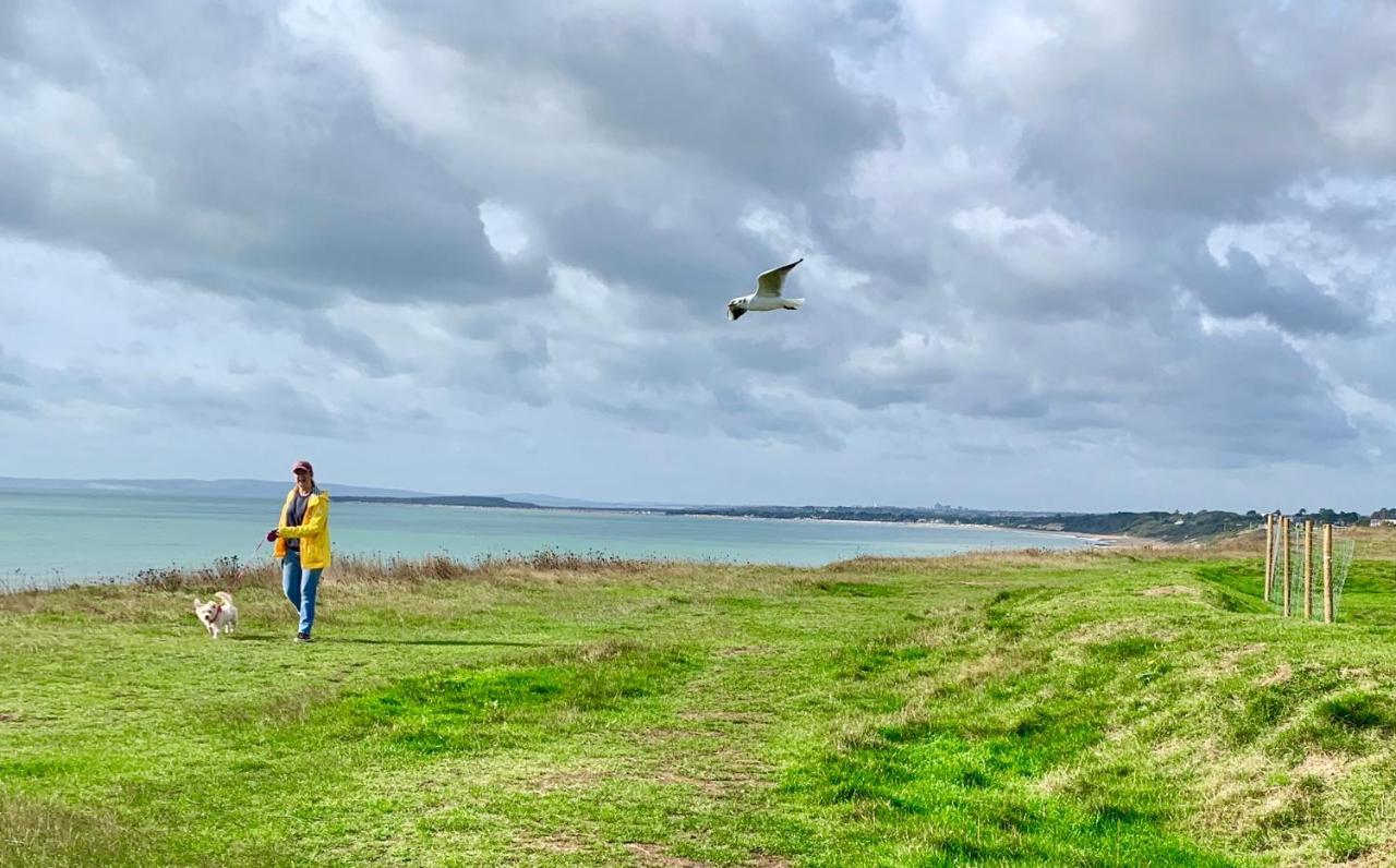 Shorefield Country Park, Where The New Forest Meets The Sea, Passes For All Entertainment Included ميلفورد أون سي المظهر الخارجي الصورة