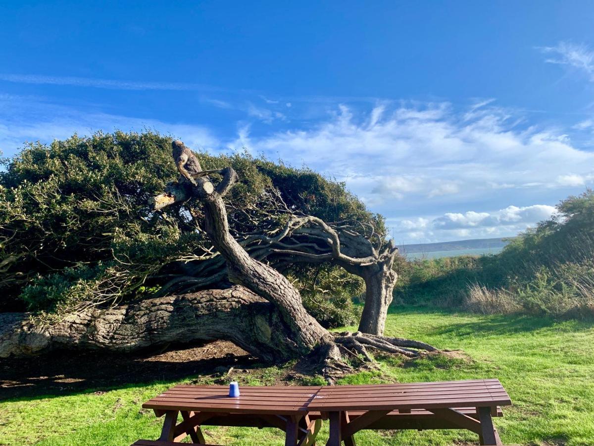 Shorefield Country Park, Where The New Forest Meets The Sea, Passes For All Entertainment Included ميلفورد أون سي المظهر الخارجي الصورة